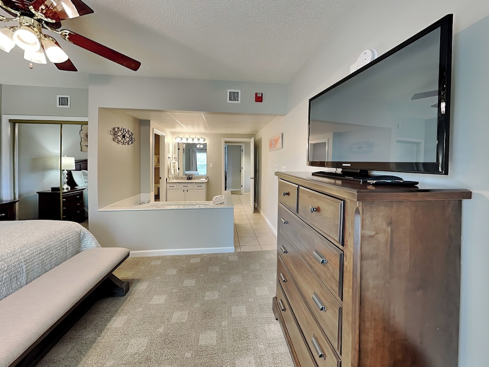 bear crossing by vtrips