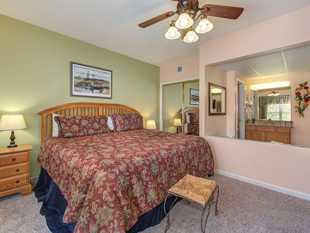 bear crossing by vtrips