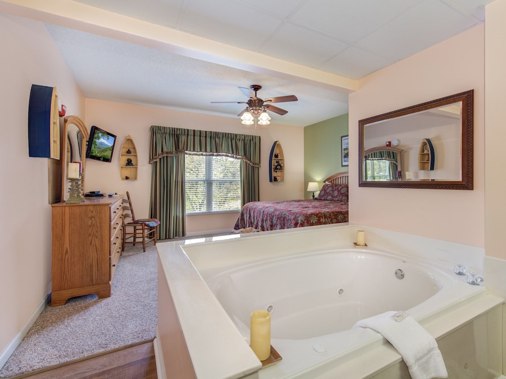 bear crossing by vtrips