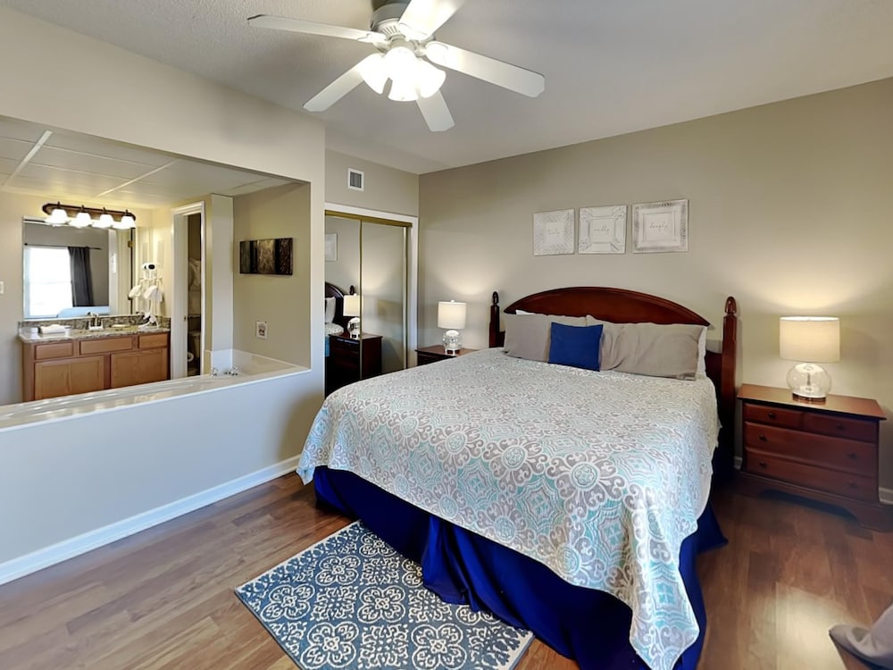 bear crossing by vtrips