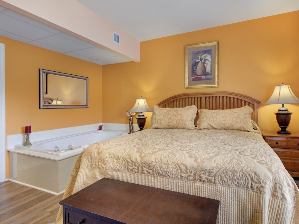 bear crossing by vtrips