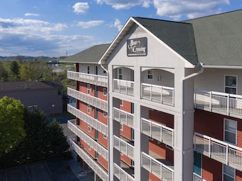 bear crossing by vtrips