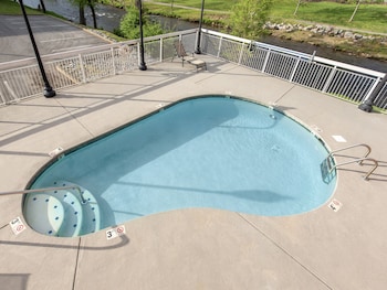 bear crossing by vtrips