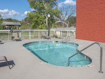 bear crossing by vtrips