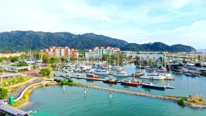 lumut