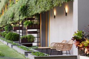 yello hotel kuta beachwalk bali