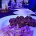 siaya white hotel