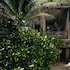 be tulum beach and spa resort