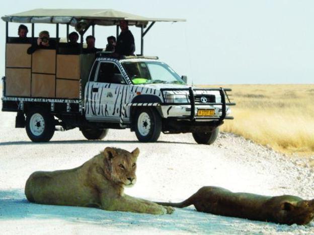 etosha safari camp