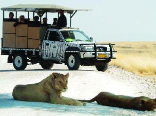 etosha safari camp