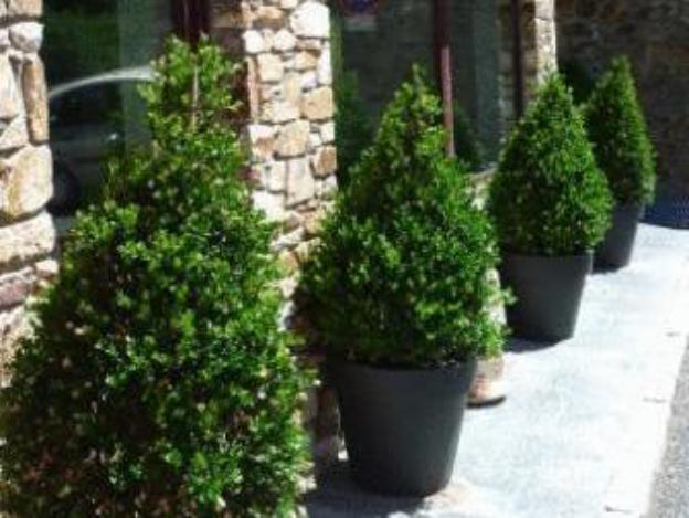 hotel and spa niunit