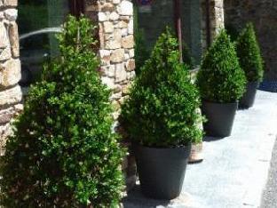 hotel and spa niunit