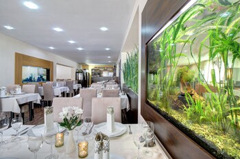 Hotel Dixon,,4 star
