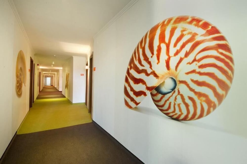 hotel excelsior