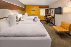 staypineapple hotel z gaslamp san diego