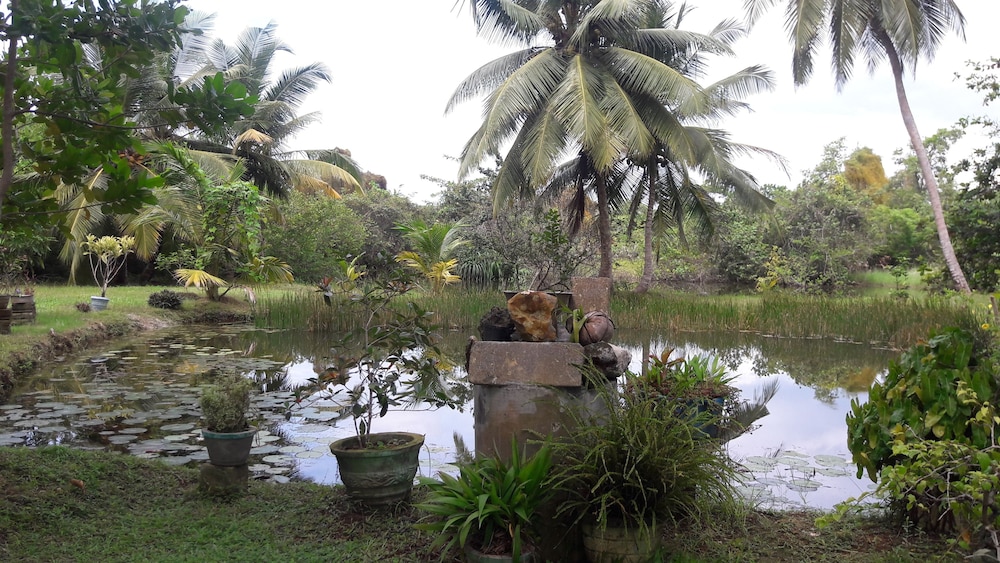 hotel lagoonvilla