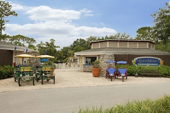 innisbrook a salamander golf and spa resort