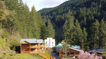 carson hot springs resort