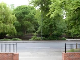 riverbank view