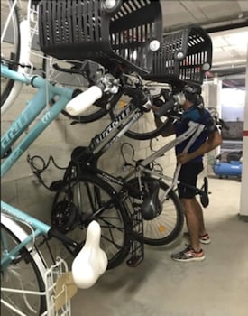 apartamentos royal life