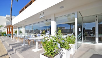 ohasis boutique suites