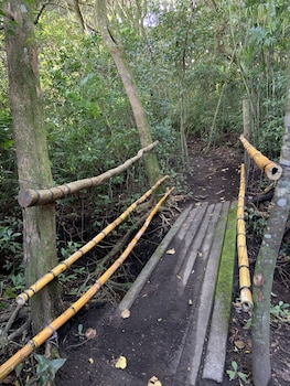 hotel de montana monteverde