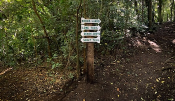 hotel de montana monteverde