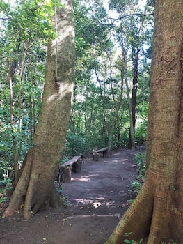 hotel de montana monteverde