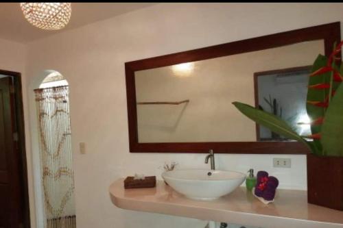 villa kalachuchi bandb