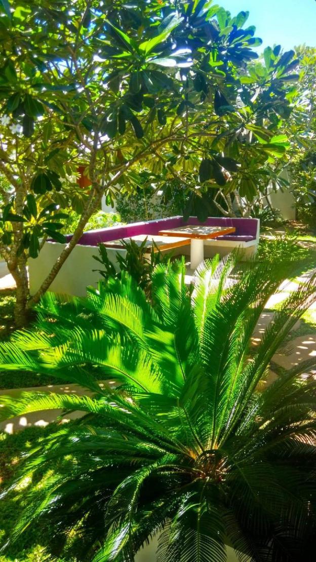 villa kalachuchi bandb