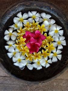 villa kalachuchi bandb