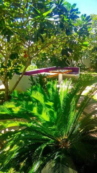 Villa Kalachuchi B&B,Puerto Princesa>>Palawan,3 star