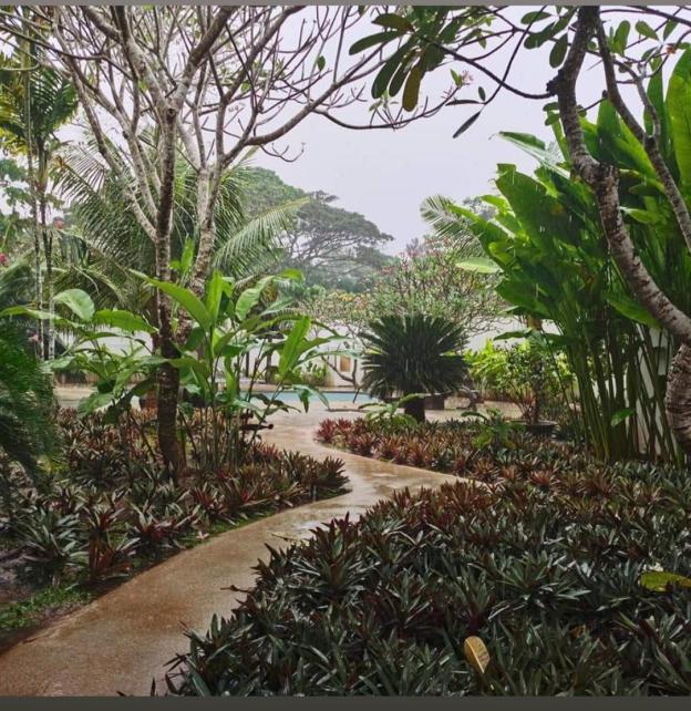 villa kalachuchi bandb