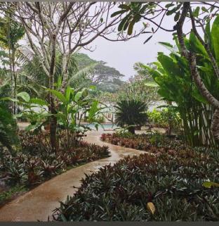 villa kalachuchi bandb