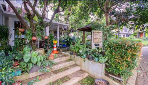 helinium homestay bogor