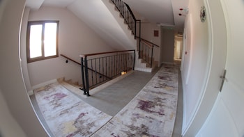 focamor otel