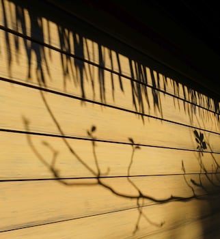 a rock resort langkawi coral reefs