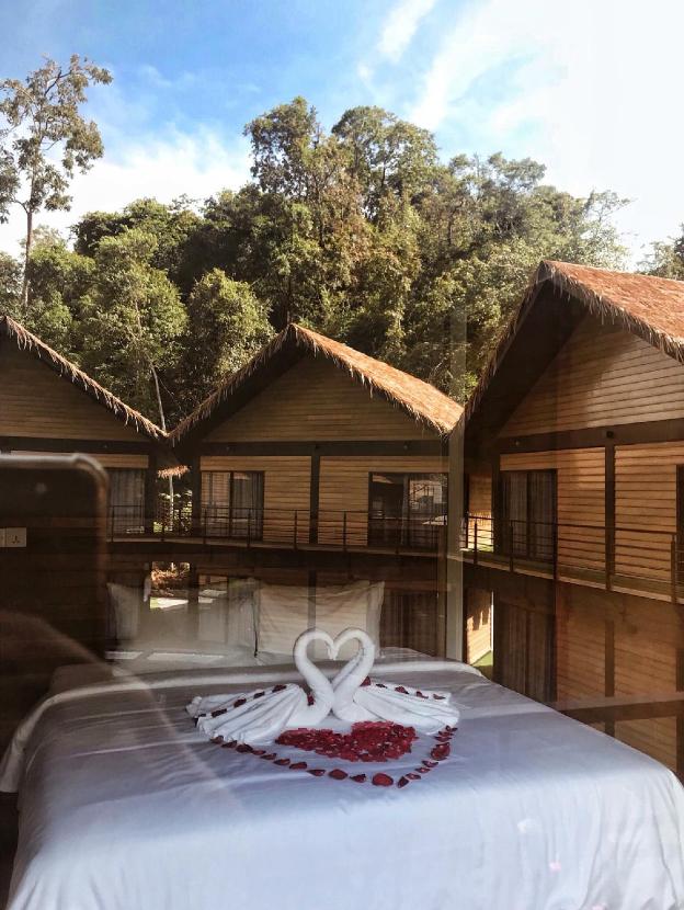 a rock resort langkawi coral reefs