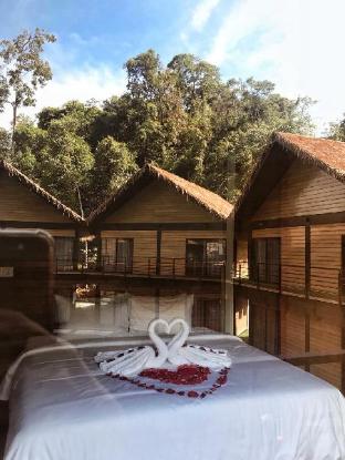 a rock resort langkawi coral reefs