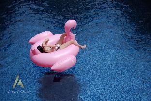 a rock resort langkawi coral reefs