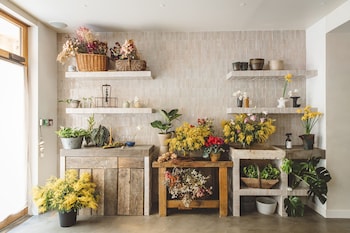 hoy paris home of yoga