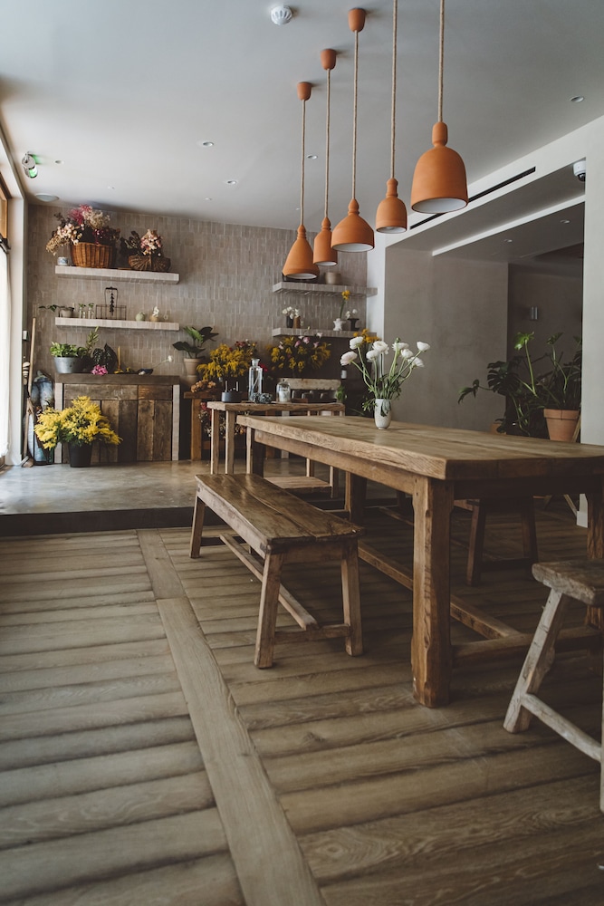 hoy paris home of yoga