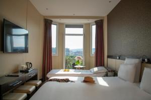 albert 1er hotel nice france