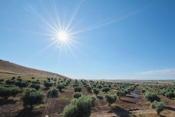 rusticae hotel villa nazules