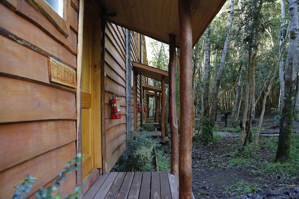 cabanas ensenada bosque nativo