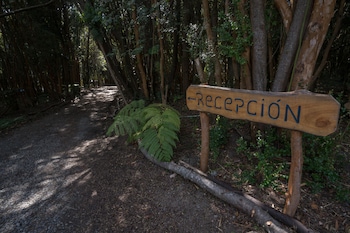 Cabanas Ensenada Bosque Nativo,Llanquihue>>Ensenada,3 star