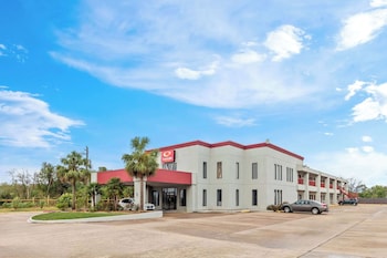 palace inn