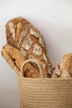 can jaume by ocean drive