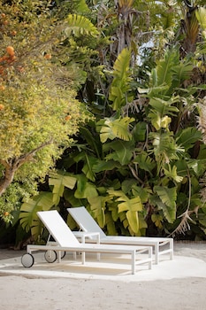 can jaume by ocean drive