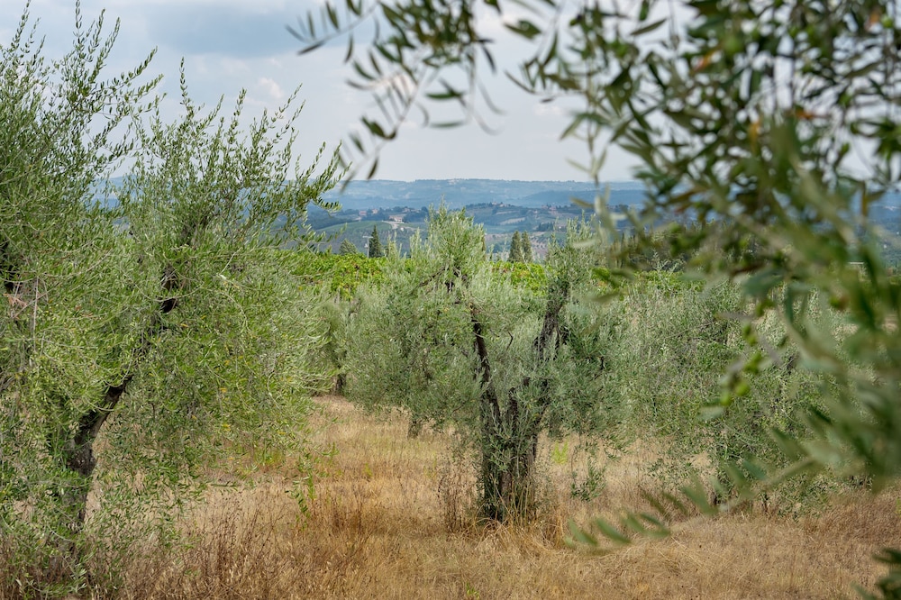 san gimignano